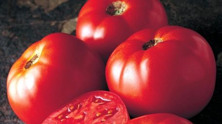 The Northport Farmers Market is open for the
