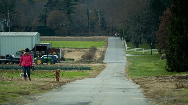 Rottkamp Brothers Farm in Old Brookville.