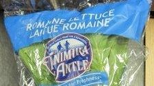 Tanimura & Antle, a Northern California produce supplier,