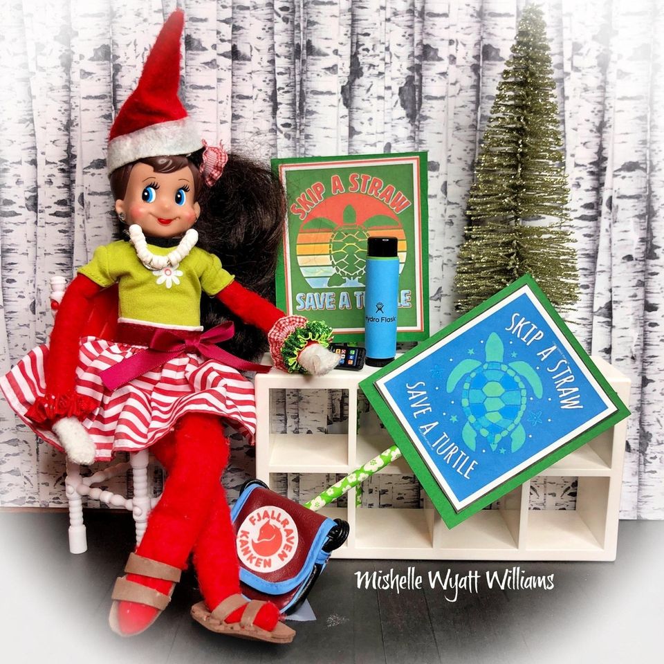 elf on the shelf boy and girl ideas