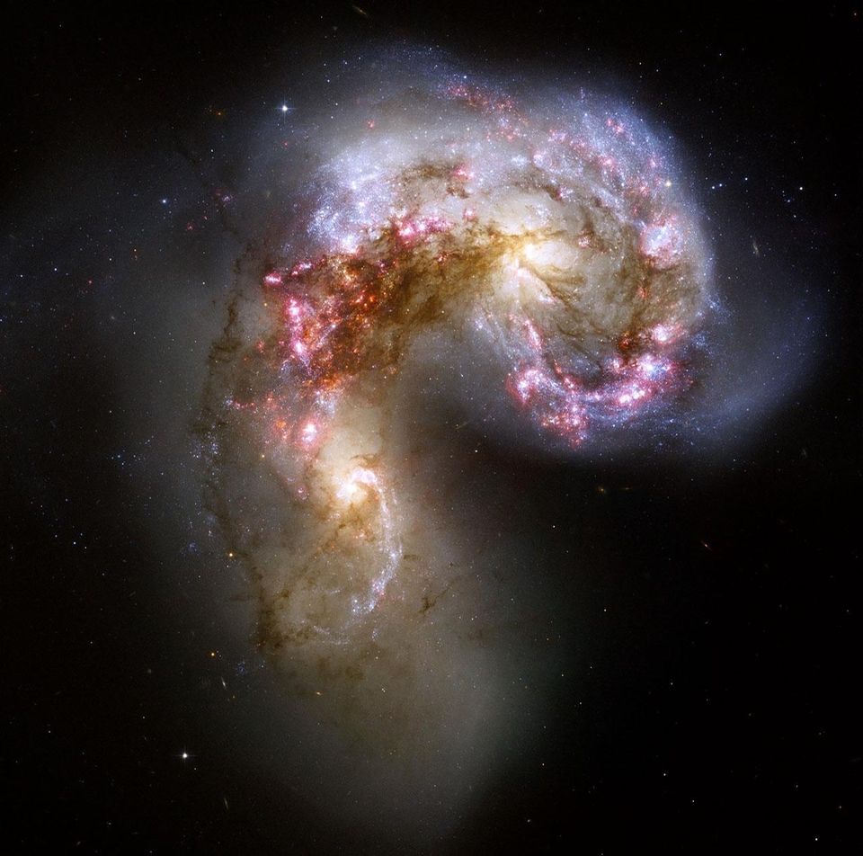 The Antennae galaxies collide, creating billions of new