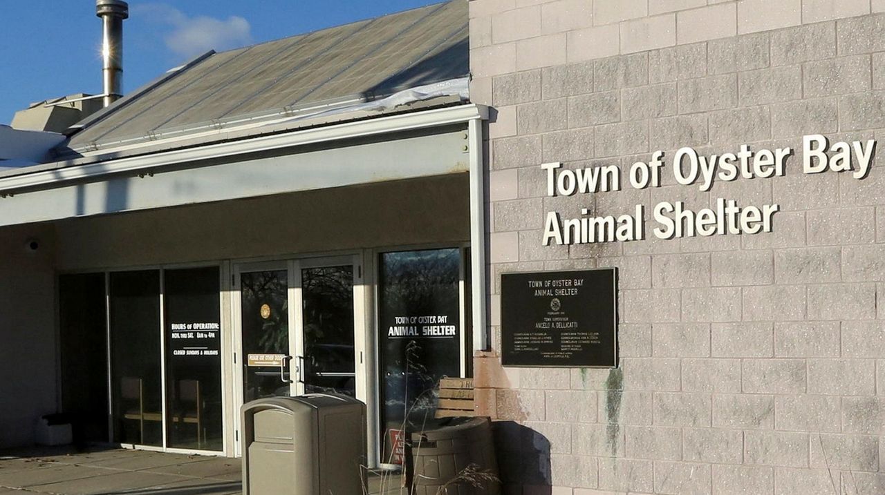 Oyster Bay to require more documentation at animal shelter ...