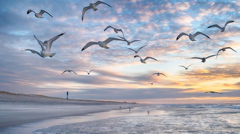 A morning sunrise from Robert Moses Field #5