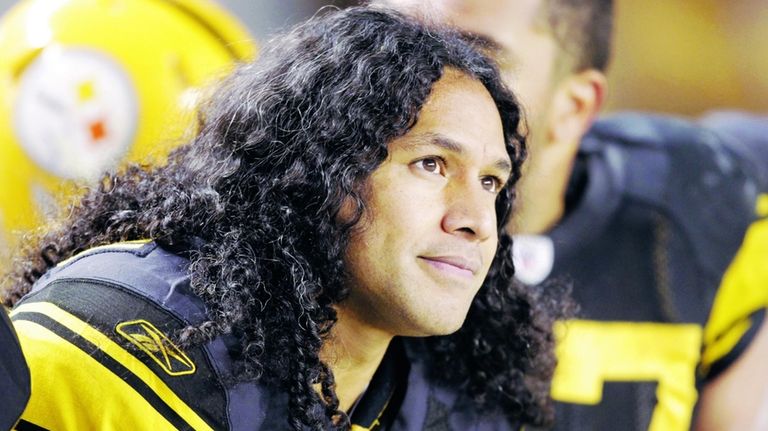 Troy Polamalu