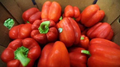 Red peppers are ready for the kitchens and