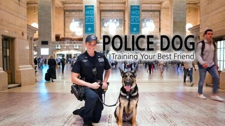 There's a special relationship between an MTA canine