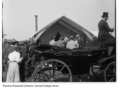 William McKinley and several unidentified men, Camp Wikoff,