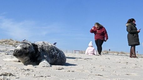Beachgoers at Smith Point County Park's beach flock