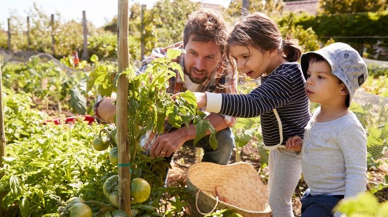 Gardening is the perfect activity to do as