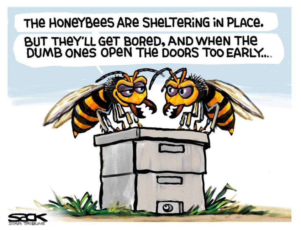 Steve Sack