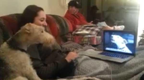 Skype
