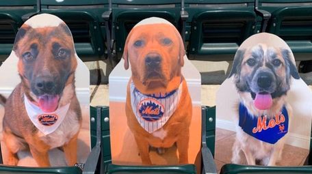 Cardboard cutouts of Kali Conforto, Griffey Conforto and