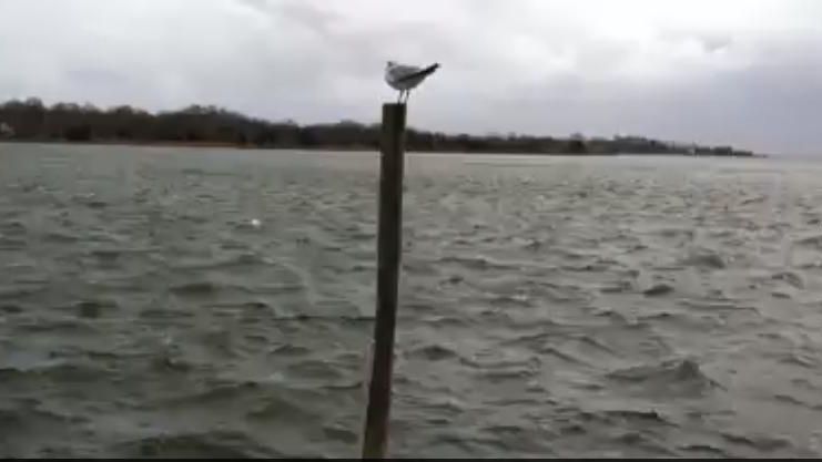 Waves pick up at Forge River Marina in