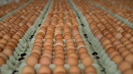 Egg producer Hillandale Farms Corp. increased the rates