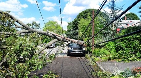 A fallen tree snapped a utility pole, took