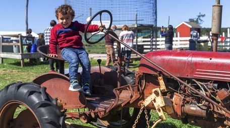 Jason Bourboulis, 3, from Laurel sits on the