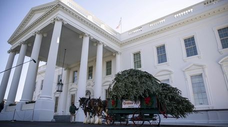 The White House Christmas Tree is delivered to