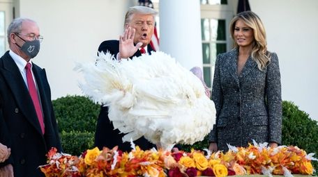 President Donald Trump pardons the National Thanksgiving Turkey,