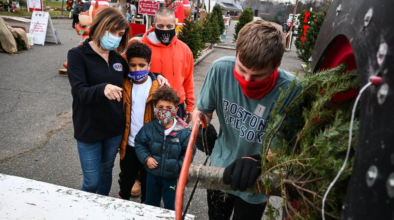 Many turn to real Christmas trees as bright spot amid virus | Newsday