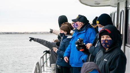 People look for seals on the Captain Lou