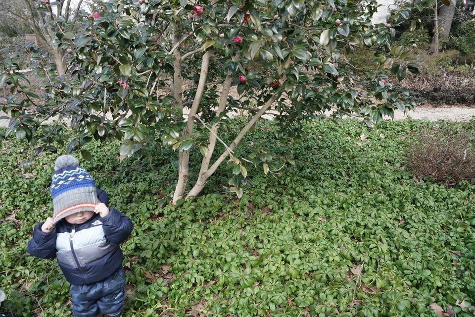 Lucas Calderon, 1, of Locust Valley, having fun