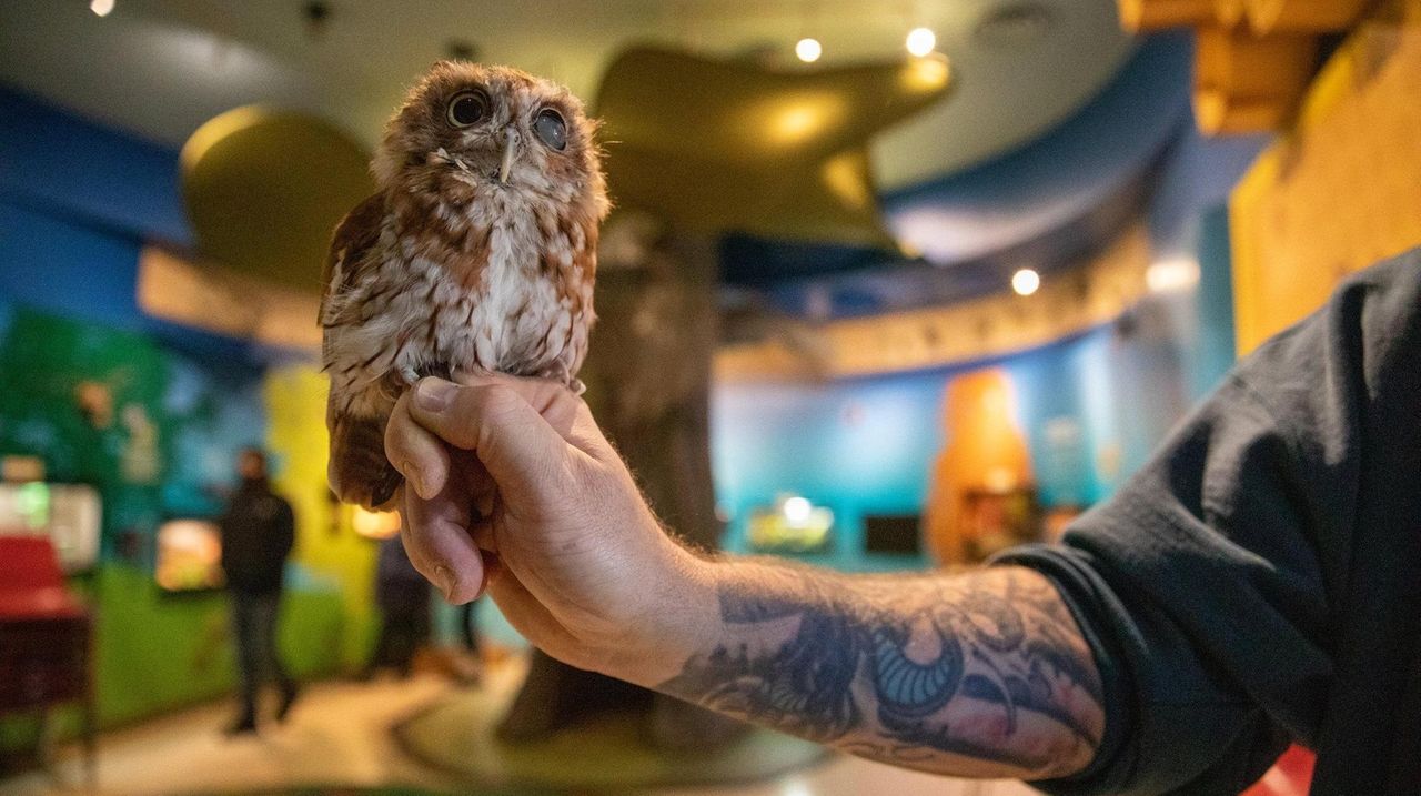 Tackapausha Museum and Preserve in Seaford hosts a