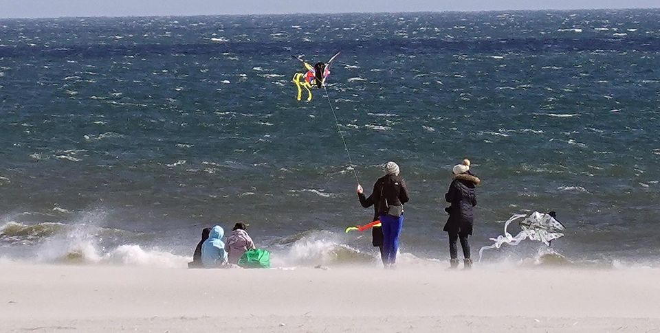 Windy conditions make for a perfect day to