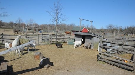 Spirits Promise Equine Rescue on Sound Avenue in