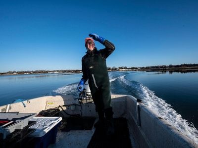 Paul McCormick, owner of Great Gun Shellfish Co.,