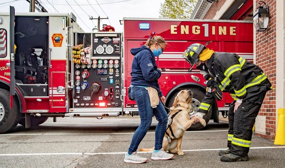 America's VetDogs visited the Cold Spring Harbor Fire