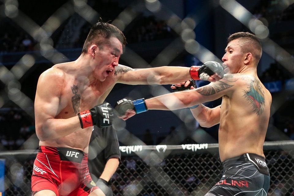 Aoriqileng, left, and Jeffrey Molina fight during a