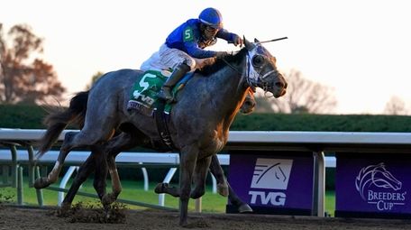Luis Saez rides Essential Quality to win the