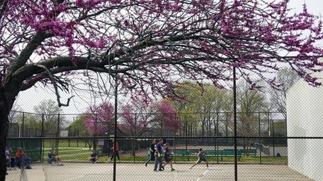 People play in Grant Park in Hewlett