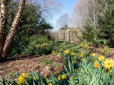 The pollinator path, which begins just beyond the
