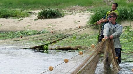 Baymen Will Caldwell and Dave Inoue fish for