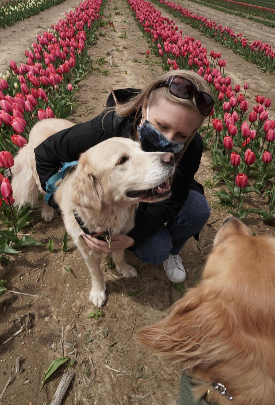 Samantha Nicks of Manhattan, with her dog Gehrig,