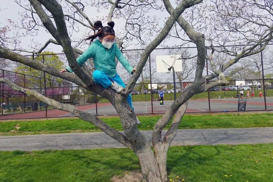 Misty Lin, 9, of Woodmere, climbs a tree
