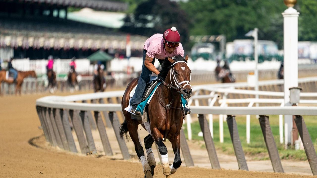 The annual Belmont Stakes, dock diving dogs and
