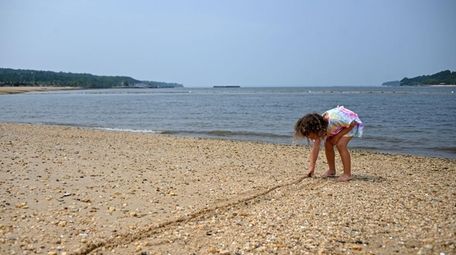 Samantha Cohen, 4, of Glen Oaks, draws a