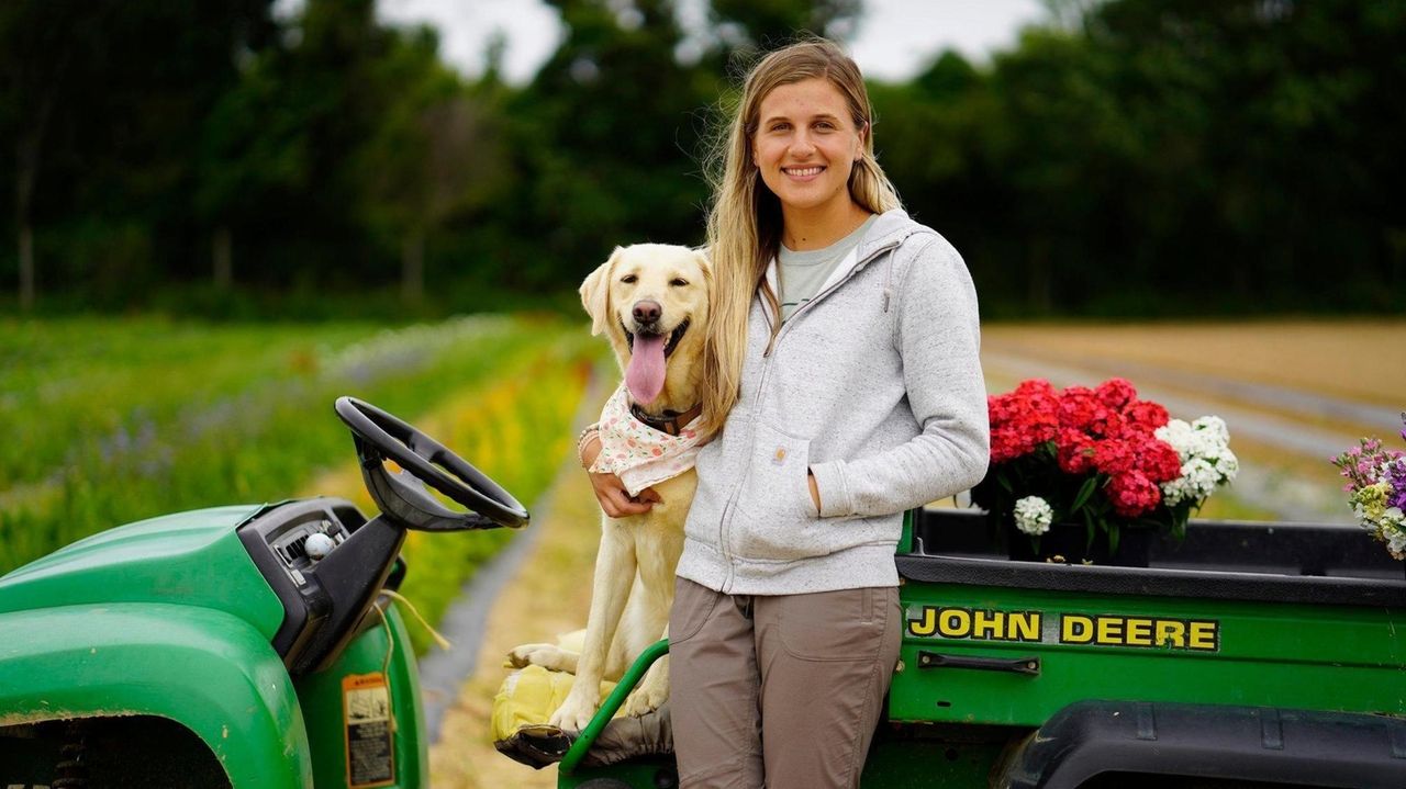 These Long Island dogs have jobs and they're