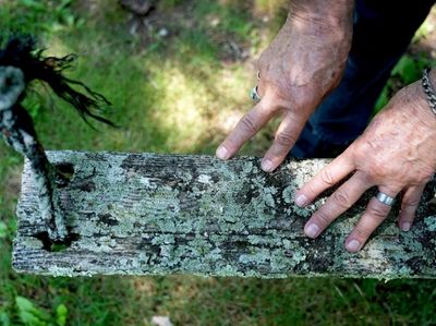 The hands of artist Bill Kuchler in his