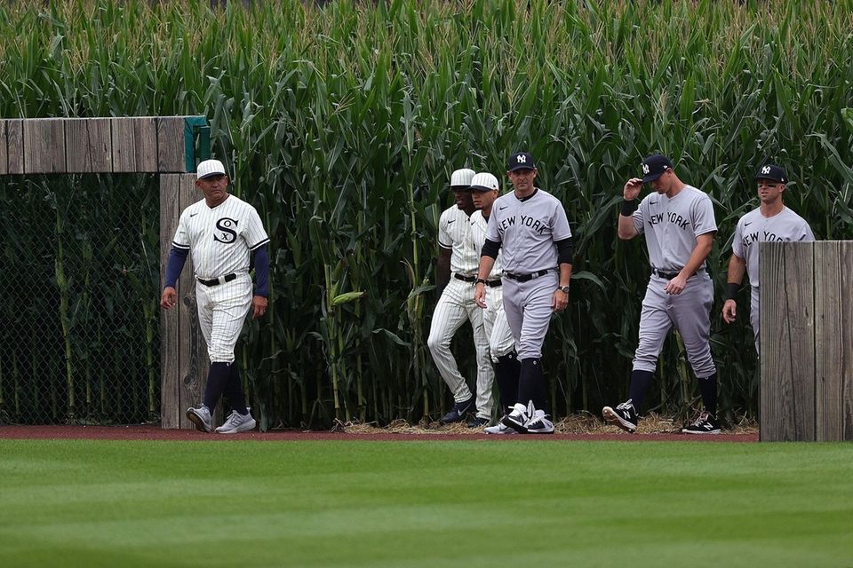 Members of the Chicago White Sox and the