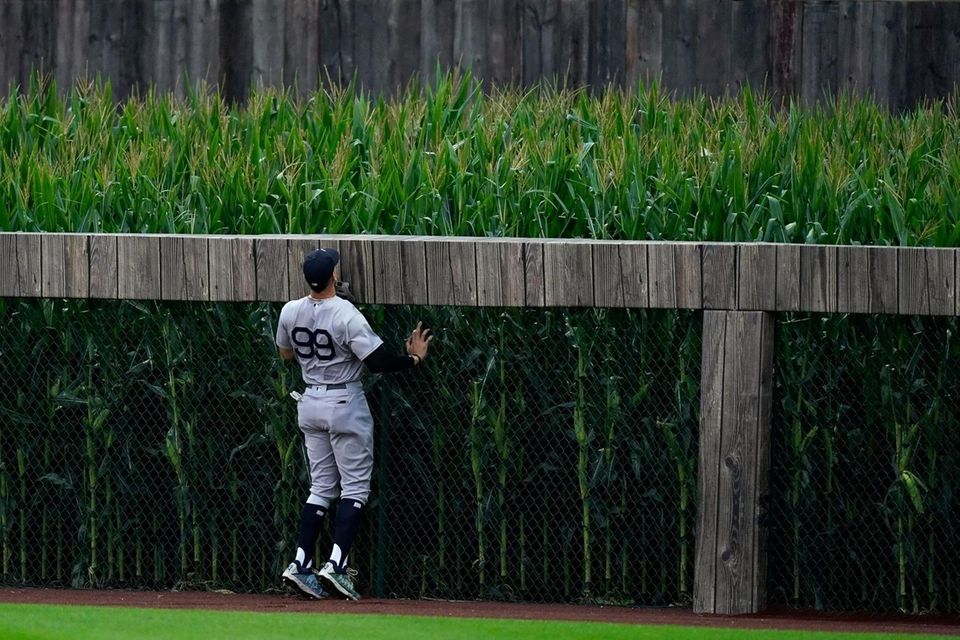 New York Yankees right fielder Aaron Judge watches