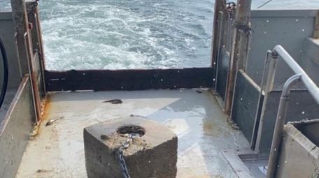 Montauk commercial fisherman Dan Warner said he caught