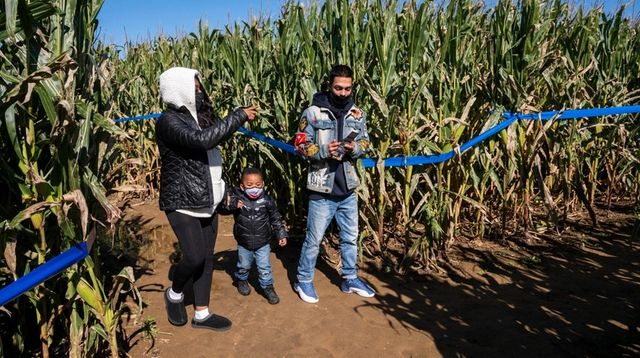 Long Island Corn Mazes Offer Something For Everyone From The Spooky To The Simple Newsday
