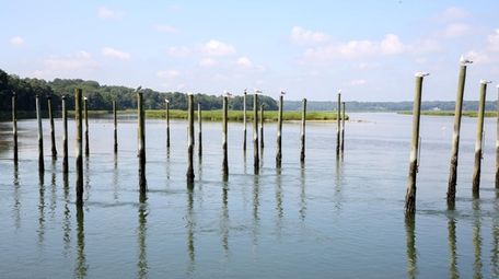 Suffolk police said a body was discovered Tuesday