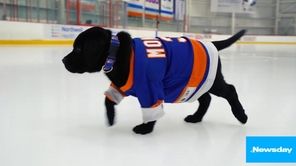 The New York Islanders have a new friend,