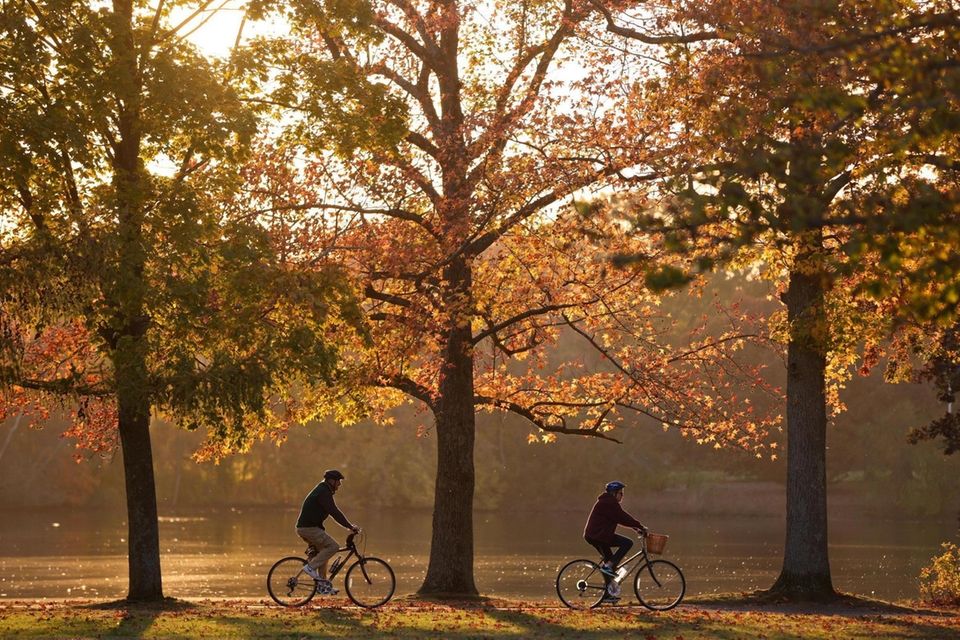 Bicyclists rides in the sunset at Belmont Lake
