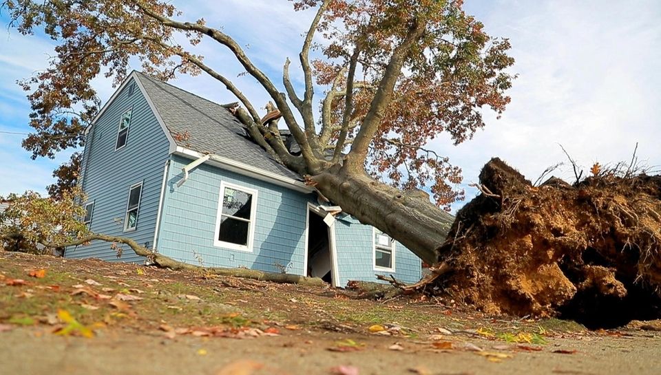 A tree damages a home and an underground