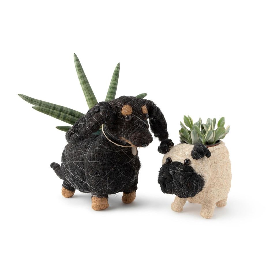 Coconut-fiber planters. The pooch- and plant-lovers on your